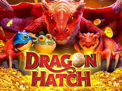 Dragon Hatch Dragon Hatch