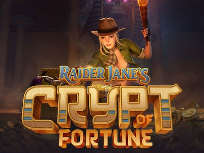 Raider Jane's Crypt Of Fortune Raider Jane's Crypt Of Fortune