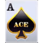 Wild Ace