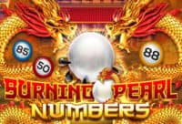 Joker123 เกมสล็อต Joker gaming เว็บตรงที่รวมเกมฮิต มาแรงแห่งปี Burning Pearl Bingo เกมสล็อตค่าย Joker Gaming เล่นฟรี