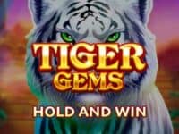 Tiger Gems Hold and Win